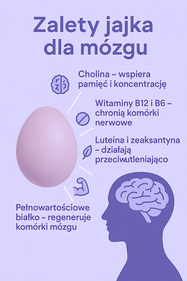 Jajka a demencja – naturalna ochrona dla mózgu. A co jeśli nie lubisz jajek?